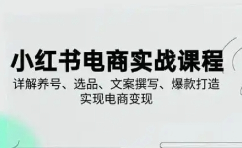 小红书从0-1实操课(2023-2025)，详解养号、选品、文案撰写、爆款打造实现电商变现-生财