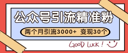 公众号精准粉引流玩法,2个月3000+精准粉,变现30个W【揭秘】-生财