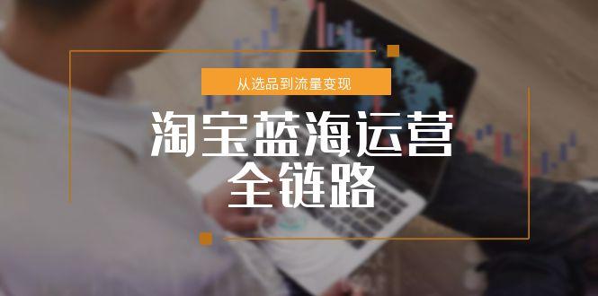淘宝蓝海运营全链路，从选品到流量变现，小类目突围完整方案-生财
