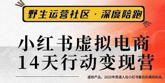 小红书虚拟电商14天变现训练营3.0，​虚拟产品，2025年普通人在小红书最后的搞钱机会-生财
