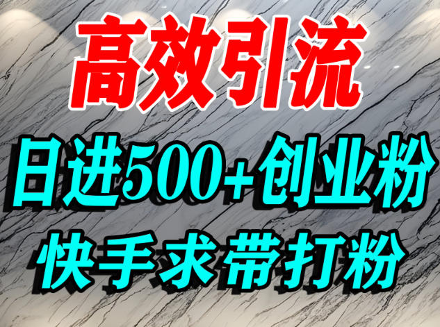 怎么打创业粉？快手求带视角精准引流创业粉，宝妈、学生群体日进500+精准流量-生财
