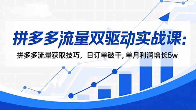 拼多多流量双驱动实战课：拼多多流量获取技巧，日订单破千,单月利润增长5w-生财