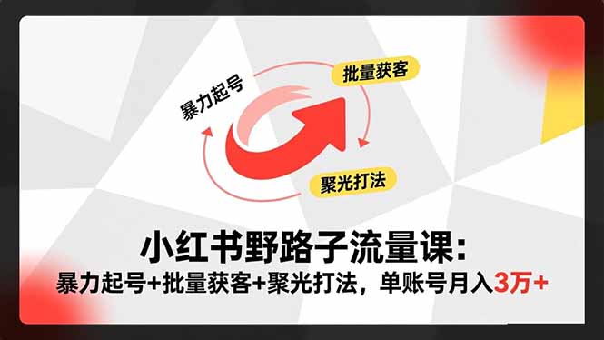 小红书野路子流量课：暴力起号+批量获客+聚光打法，单账号月入3万+-生财