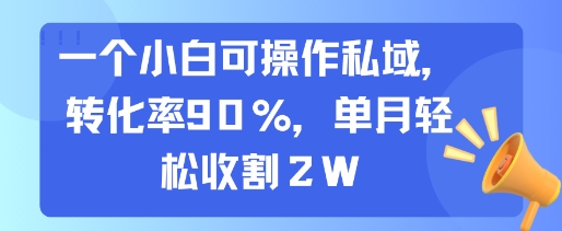 一个小白可操作私域，转化率90%，单月轻松收割2W-生财