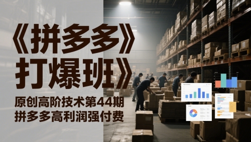 《拼多多打爆班》原创高阶技术第44期，拼多多高利润强付费-生财