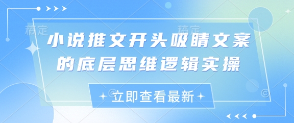 小说推文开头吸睛文案的底层思维逻辑实操-生财