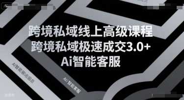 跨境私域线上高级课程，跨境私域极速成交3.0+Ai智能客服-生财