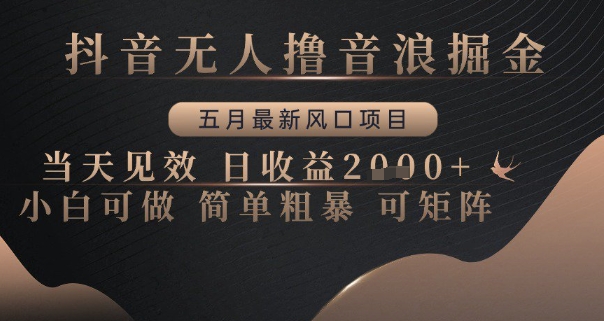 抖音无人撸音浪掘金，五月最新风口项目，当天见效，日收益多张，小白可做简单粗暴可矩阵【揭秘】-生财