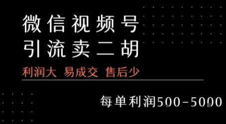 视频号卖二胡教程，利润大 易成交 售后少，一单利润5张+-生财