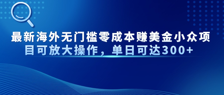 最新海外无门槛零成本赚美金小众项目可放大操作，单日可达300+-生财