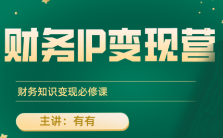 有有老师·财务IP变现营，财务知识变现必修课-生财