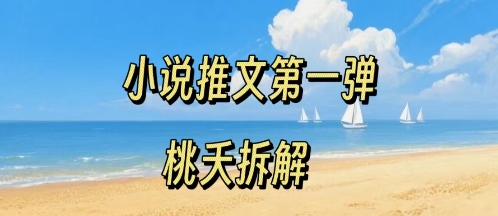 小说推文项目操作全流程第一弹,0粉就能做,门槛低非常适合新手-生财