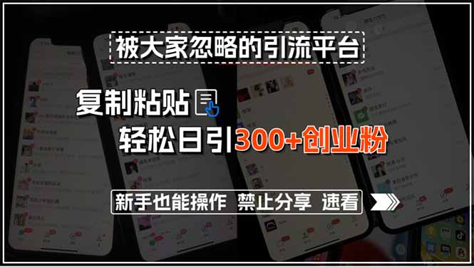 被大家忽略的引流平台，复制粘贴轻松日引300+创业粉，新手也能操作，禁...-生财