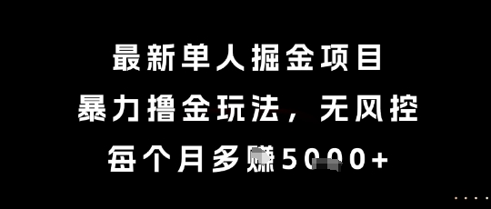 最新单人掘金项目，暴力撸金玩法，无风控，每个月多挣5k+【揭秘】-生财