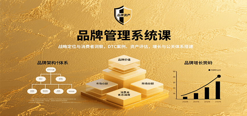 品牌管理系统课:战略定位与消费者洞察,DTC案例、资产评估,增长与公关体系搭建-生财