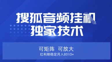 【搜狐音频挂G】独家技术，可矩阵可放大，红利期稳定月入8k【揭秘】-生财