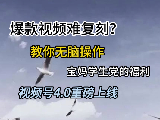 视频号4.0重磅上线，爆款视频难复刻？教你无脑操作宝妈学生党的福利【揭秘】-生财