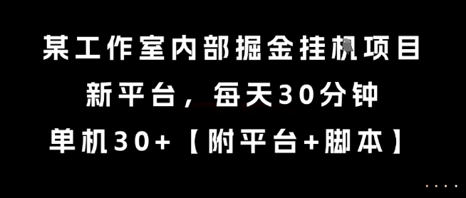 某工作室内部掘金挂G项目，新平台，每天30分钟，单机30+【揭秘】-生财