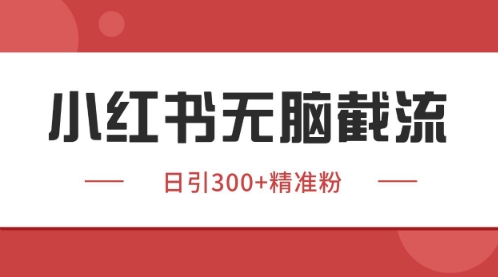 小红书只要你有同行就能获客，独家野路子获客玩法，暴力截流【揭秘】-生财