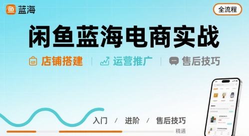 闲鱼蓝海电商实战,店铺搭建运营售后全流程-生财