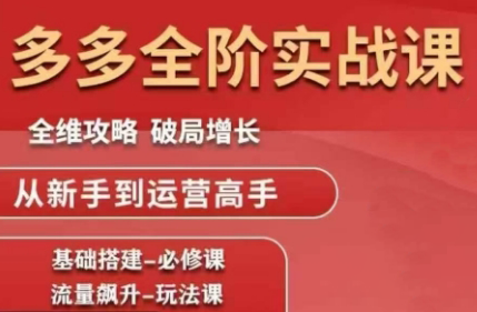 大炮·拼多多全阶实战课程(更新10月)-生财