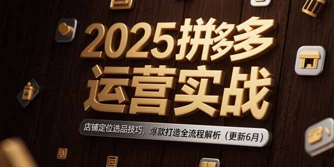 2025拼多多运营实战：店铺定位选品技巧，爆款打造全流程解析(更新6月-生财