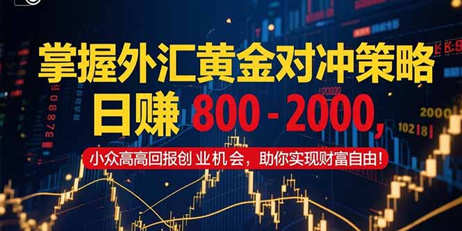 掌握外汇黄金对冲策略，日赚 800 - 2000，小众高回报创业机会，助你实...-生财