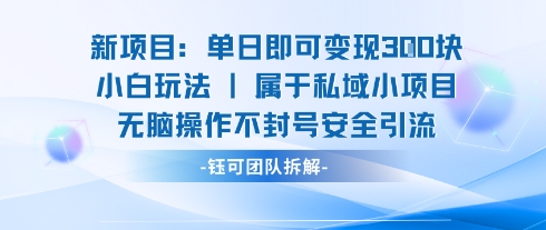 新项目单日即可变现3张的小白玩法无脑操作不封号安全引流-生财