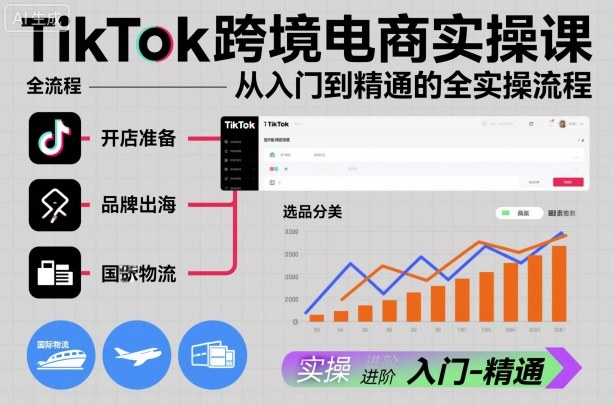 TikTok跨境电商实操课，从入门到精通的全实操流程-生财