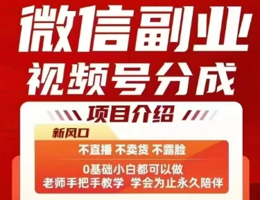 微信副业视频号分成，不直播 不卖货 不露脸，三五分钟即可完成一条作，每日收益几十、几张不等-生财