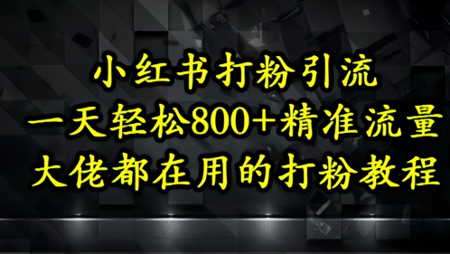 小红书打粉引流，一天轻松500+精准流量，大佬都在用的打粉教程-生财