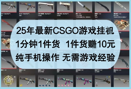 25年最新CSGO游戏挂G,1分钟1件货,1件货挣10元,纯手机操作,无需游戏经验【揭秘】-生财