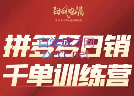 白凤电商·拼多多日销千单训练营(更新12月)-生财