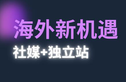 棕榈·2025出海新机遇(社媒+独立站)-生财