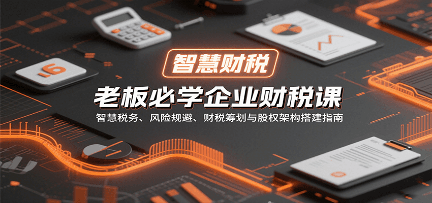 老板必学企业财税课：智慧税务、风险规避、财税筹划与股权架构搭建指南-生财