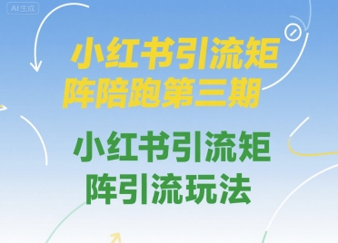 小红书引流矩阵陪跑第三期，小红书引流矩阵引流玩法-生财