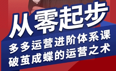 拼多多运营进阶系统课，从零起步，多多运营进阶体系课，破茧成蝶的运营之术-生财