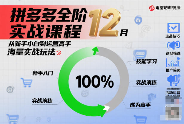 拼多多全阶实战课程12月,从新手小白到运营高手,海量实战玩法-生财