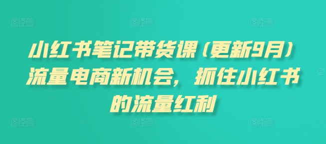 小红书笔记带货课(更新25年6月)流量电商新机会，抓住小红书的流量红利-生财