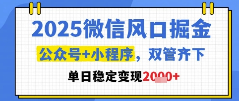 2025微信风口掘金，公众号+小程序双管齐下，单日稳定变现1k+【揭秘】-生财