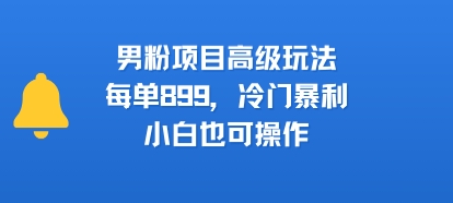 男粉项目高级玩法,每单899,冷门暴利,小白也可操作-生财