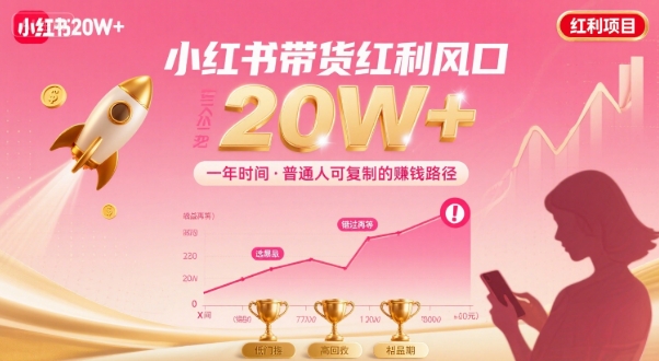 一年时间靠小红书带货项目年入20w+,最不能错的大红利项目-生财