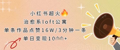 小红书超火的治愈系loft公寓，单条作品点赞16W，3分钟一条，单日变现数张-生财