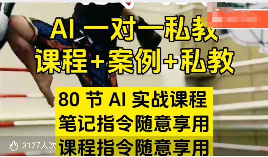 AI指令实战课，课程+案例，80节AI实战课程，笔记指令随意享用，课程指令随意享用(更新7月)-生财
