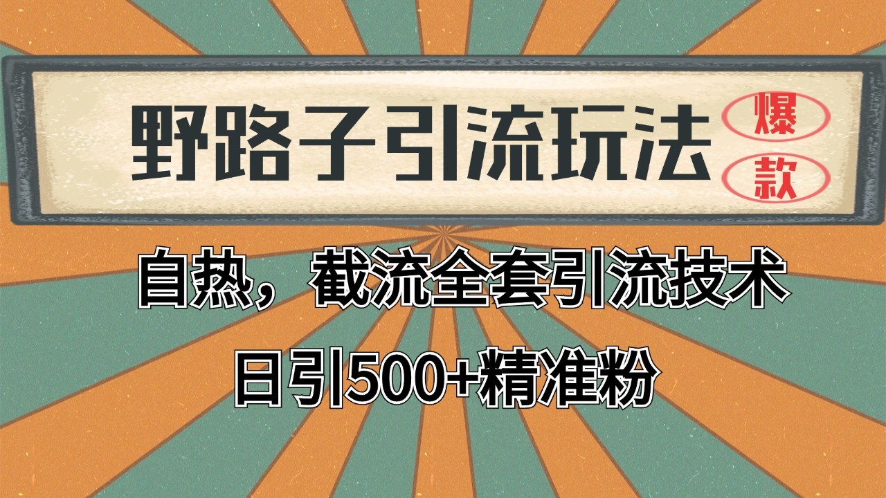 2024首发野路子引流玩法截流自热全平台打法，全自动引流【日引2000+精准客户】-生财