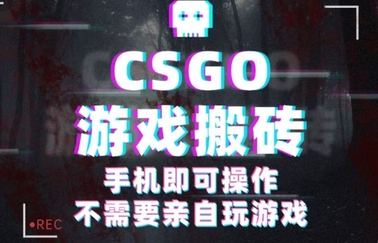 CSGO游戏挂G捡漏，单日扫货5张+，年底小高峰上车可吃肉，手机即可操作，兼职副业创业网创【揭秘】-生财