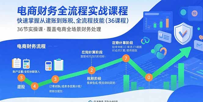 电商财务全流程实战课程:快速掌握从建账到报税的全流程技能(36节课-生财