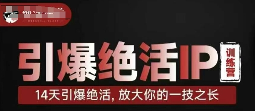 引爆绝活IP训练营，14天引爆绝活，放大你的一技之长-生财