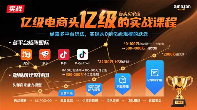 亿级电商头部卖家的实战课程：涵盖多平台玩法，实现从0到亿级规模的跃迁-生财