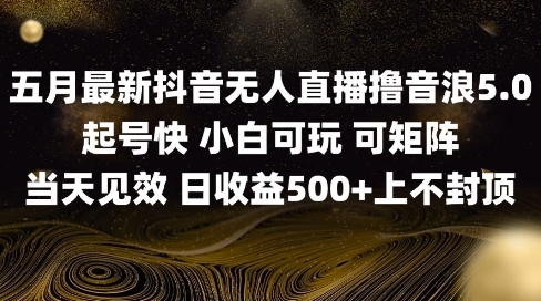 2025五月最新无人直播撸音浪单日产出5张+实操教程【揭秘】-生财
